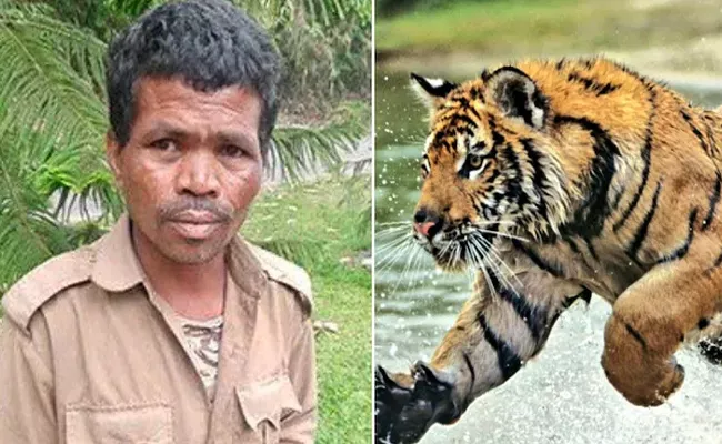 Royal Bengal Tigerss Mauls Zoo Attendant In Arunachal Pradesh - Sakshi