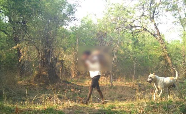 Deer Hunters Photos Captured By Sakshi Photo Reporter In Amrabad Tiger Reserve