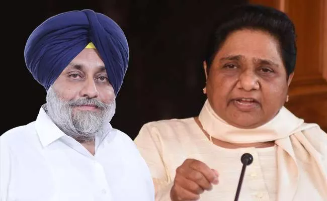 SAD And BSP Farm Alliance For Assembly Elections In 2022 At Punjab - Sakshi