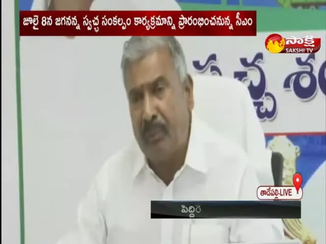Minister Peddireddy Ramachandra Reddy Video Conference With Village Sarpanches