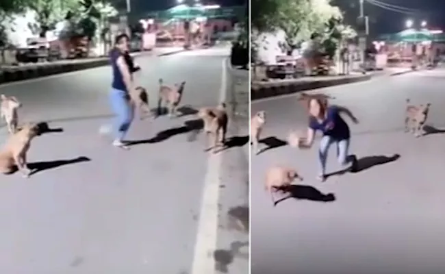Viral Video Of Girl Dancing On The Road In Front Of Dogs - Sakshi