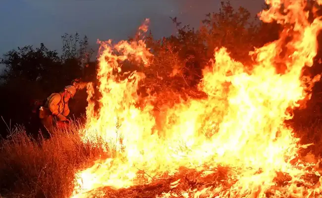 California Couple Gender Reveal Party Sparked A Wildfire Charged with 30 Crimes - Sakshi