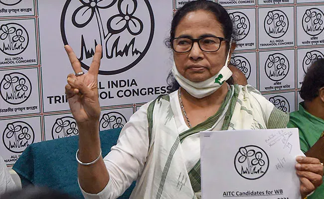 Mamata Banerjee Named Trinamools Parliament Chief Ahead Of Delhi Visit - Sakshi