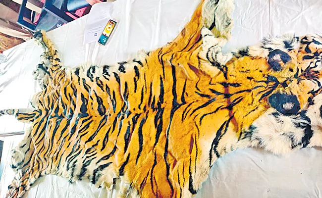 Police Arrest Two smugglers And Seized Tiger Skin At Mulugu - Sakshi
