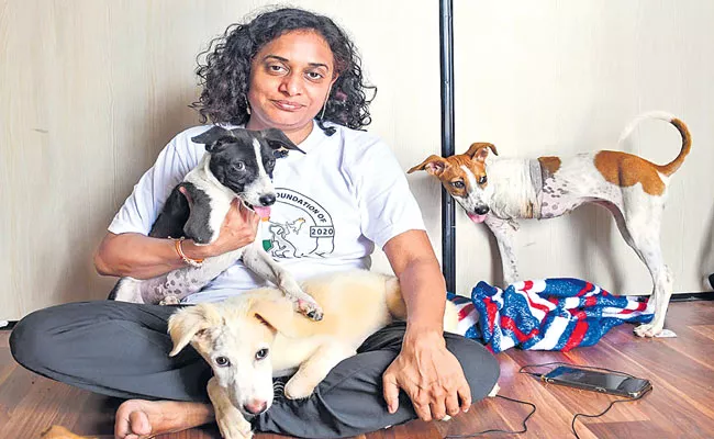 Sakshi Special Story On Stray Animal Foundation of India