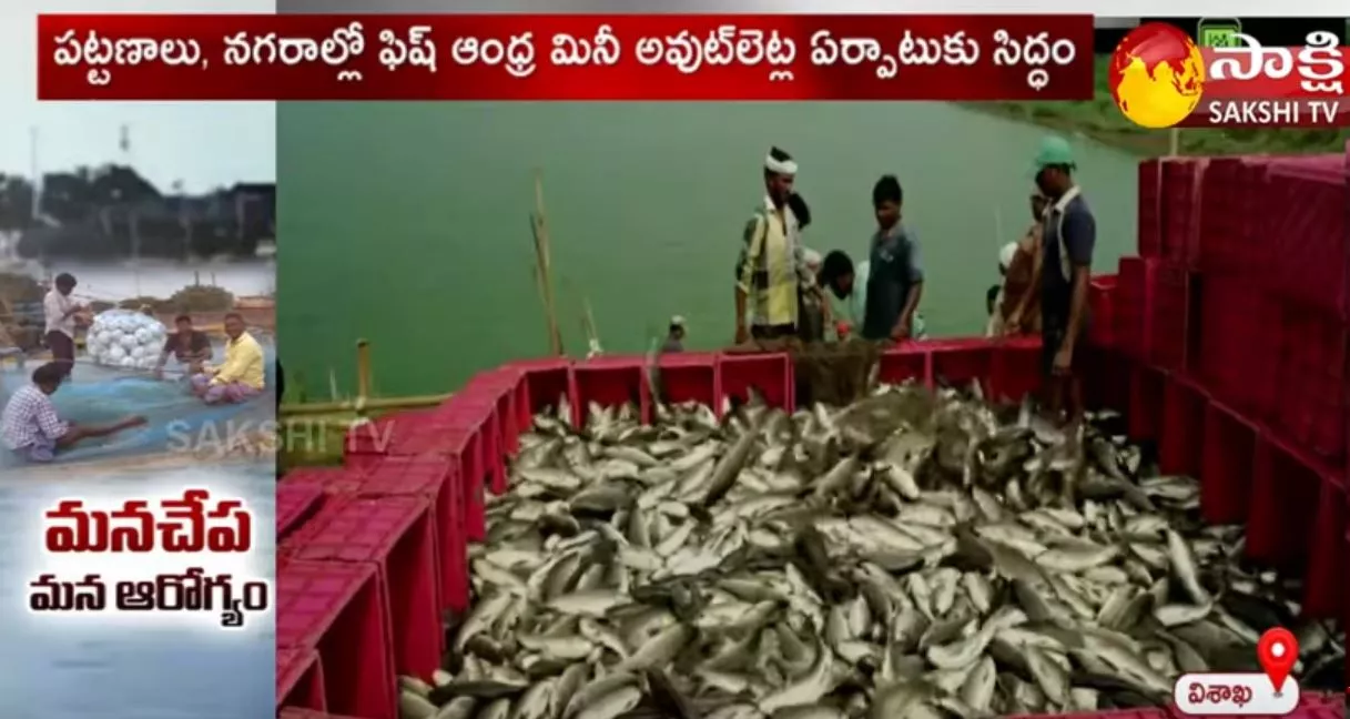 Fisheries Department Started Mini Outlets Of Selling Fishes In Vishaka