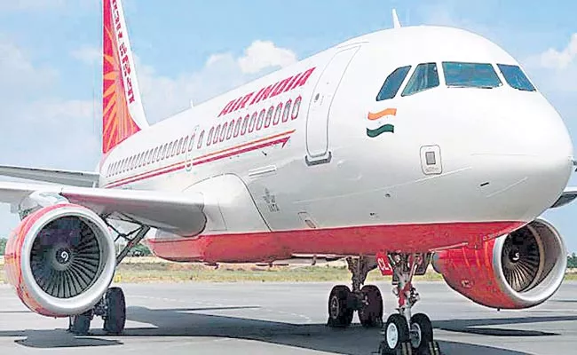 Govt Sticks To September 15 Deadline For Putting Financial Bids For Air India - Sakshi