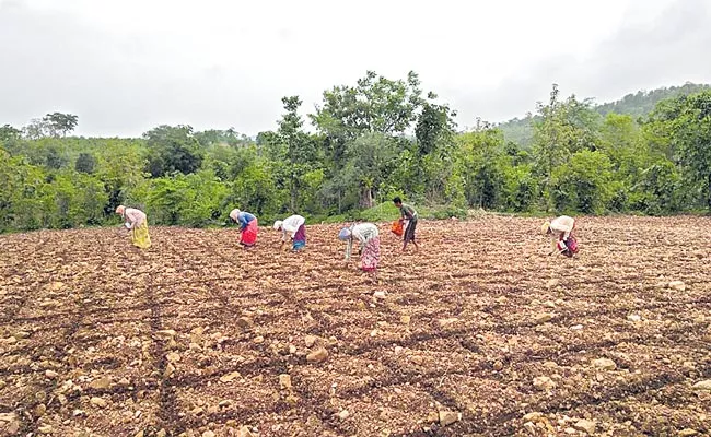 Conflicts Between Farmers And Forest Officers Over Podu Lands - Sakshi