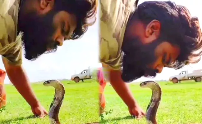 This Man Kissing A Snake Video Goes Viral On Social Media - Sakshi
