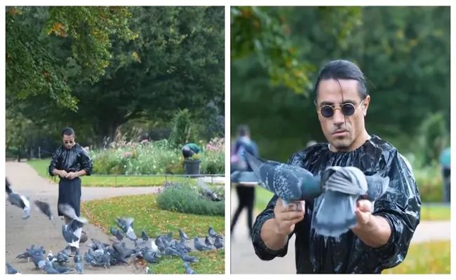Turkish Chef Salt Bae Video Feeding Pigeons Wearing A Garbage Bag Has Gone Viral Online - Sakshi