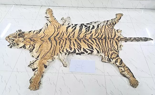 Tiger Skin Seized By Forest Officials In Asifabad - Sakshi