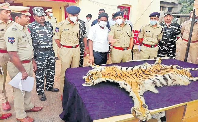 Mulugu District Police Has Seized Tiger Skin - Sakshi