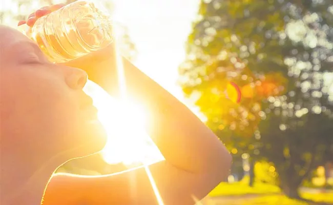 Heat Wave Forecast: High Temperatures For Four Days In AP - Sakshi