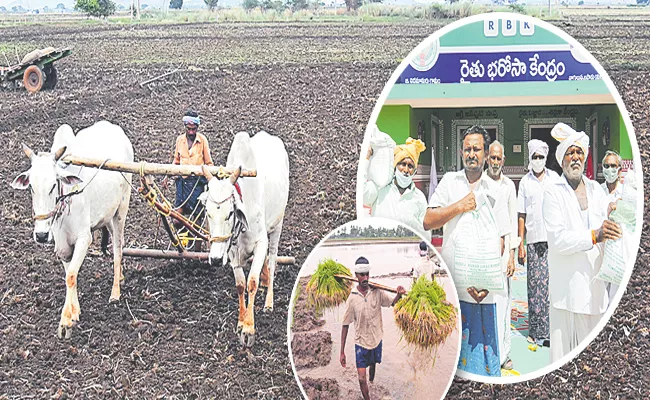 Contributing nature to agriculture and Andhra Pradesh Govt Encouraging - Sakshi