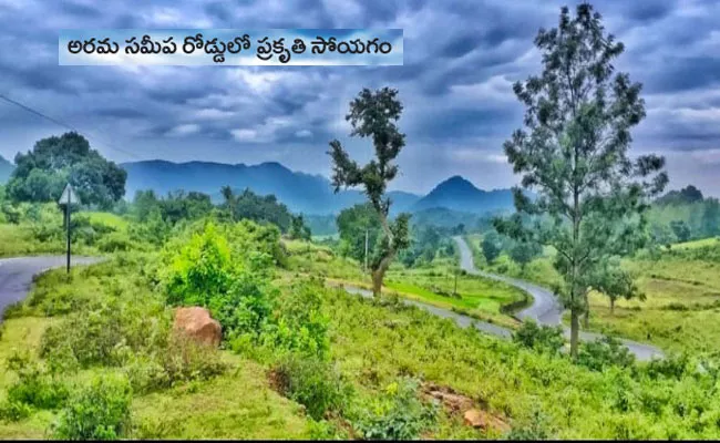 Photo Feature: Tourist Places in Alluri Sitharama Raju District Kothapalli Waterfalls - Sakshi