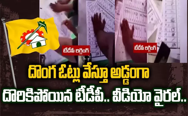 TDP Candidates Stolen Votes Video Viral In Social Media In Tirupati - Sakshi