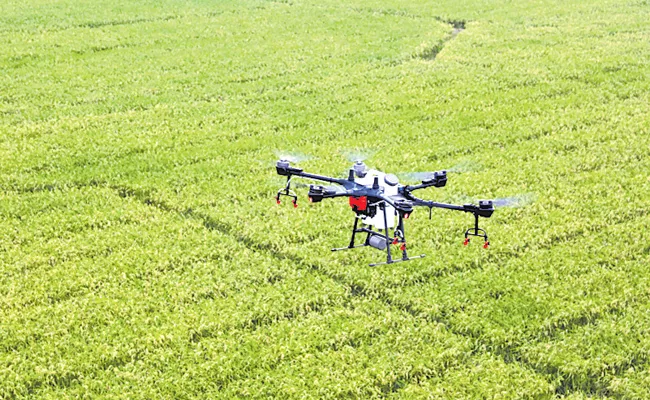 Use of drones in agricultural works in Andhra Pradesh - Sakshi