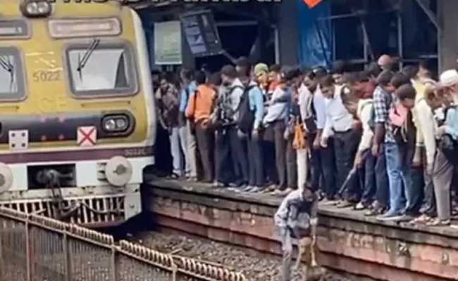 A Man In Mumbai Rescuing Dog From Railway Tracks Video Viral - Sakshi