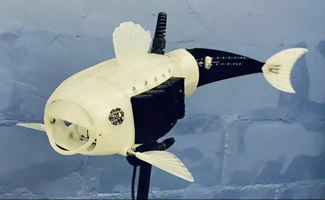 Surrey University Student Created 3D Robot Fish Consumes Plastic  - Sakshi