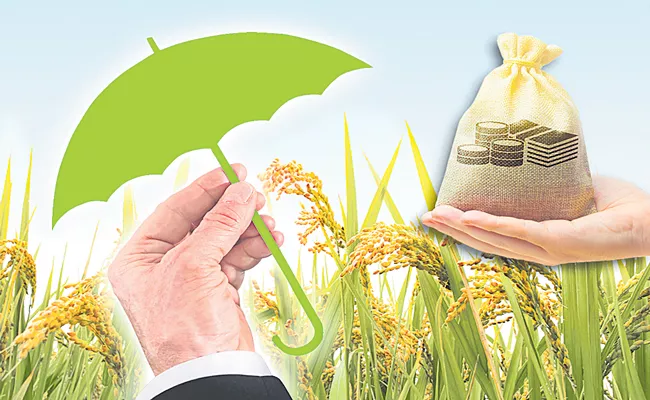 Telangana Govt Likely To Implement Own Crop Insurance Scheme - Sakshi