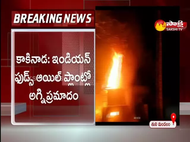 Fire Accident at Indian Foods Oil Plant In Kakinada