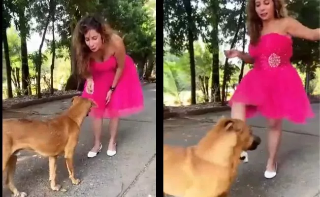 Moj Based Influencer Kajal Abusively Kicking Dog Video Viral - Sakshi