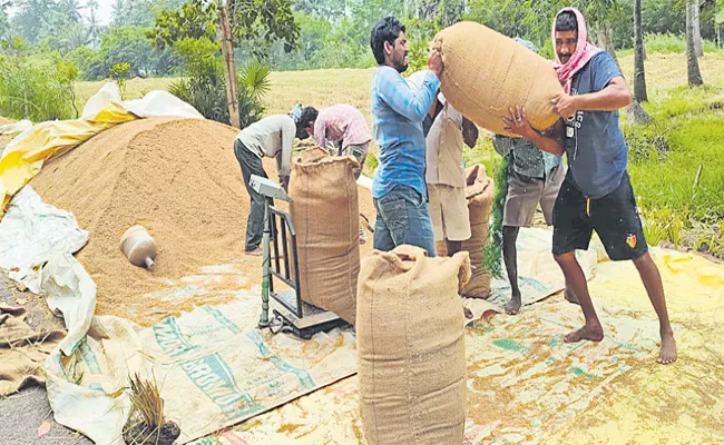 AP Govt New system of grain procurement to benefit rice farmers - Sakshi