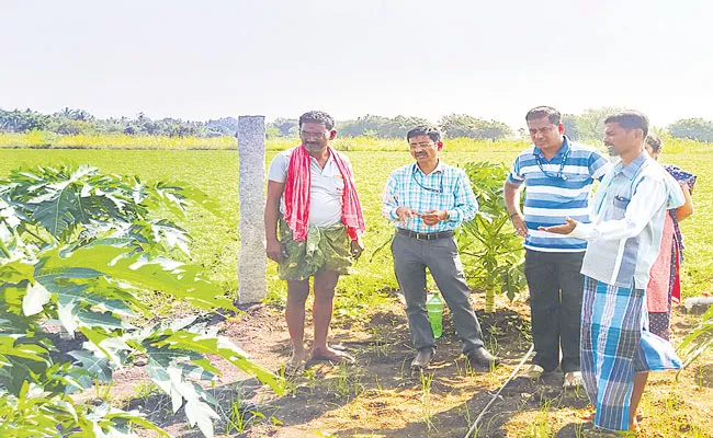 300 New Posts Of AEO Agricultural Extension Officers In Telangana - Sakshi