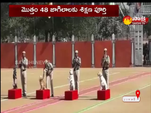 Police Dogs Passing Out Parade In Hyderabad