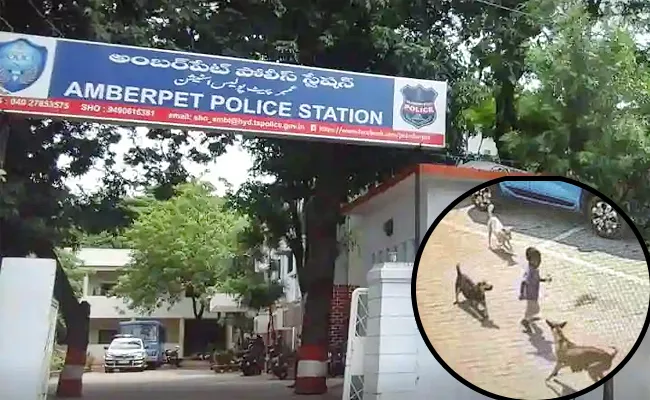 Amberpet Police Filed Police Case In Street Dog Attack Incident - Sakshi