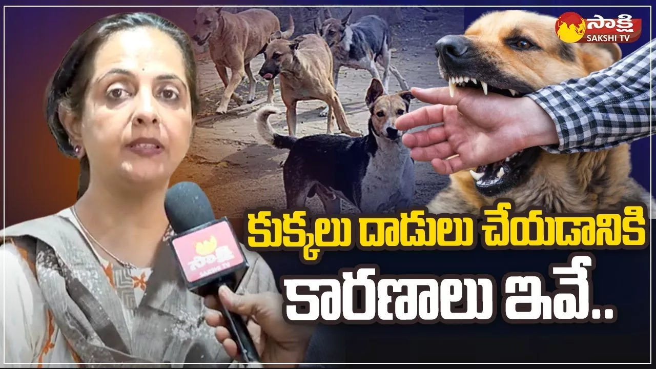 Doctor Laxmi About Dog Attacks and Amberpet Dog Incident