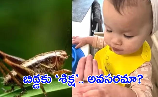 Canada Woman Plans Reduce Grocery Expenses Add Crickets Toddler Diet - Sakshi