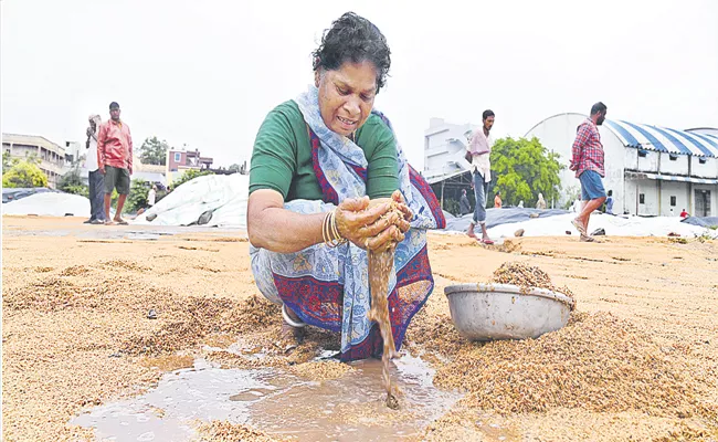 Crops heavily damaged by untimely rains in Telangana - Sakshi