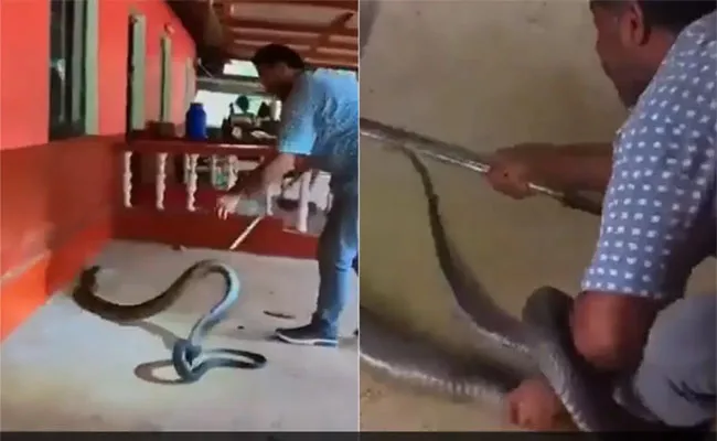 Snake Catcher Skillfully Rescues 15 Foot Long King Cobra Under Car - Sakshi