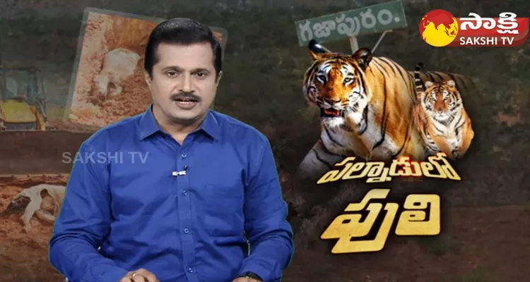 Tiger Tension in Palnadu Area