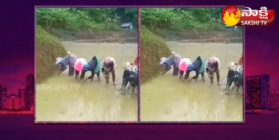 Minister Temjen Imna Along Shares Beautiful Video Of Nagaland 