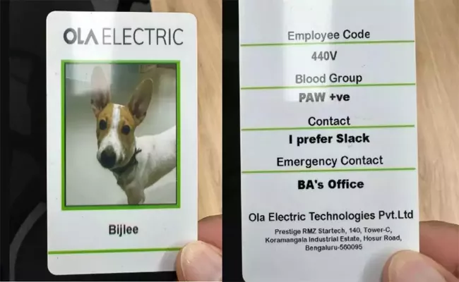 Ola electric new employee bijlee viral in twitter - Sakshi