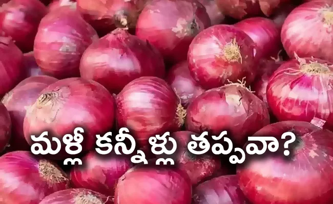 Onion prices might touch Rs70 per kg by month endsays Crisil - Sakshi