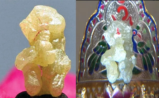 Rs 500 Crore Diamond Ganesh Idol Details - Sakshi