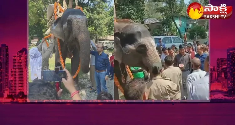 Farewell Video Of 66 Year Old Elephant