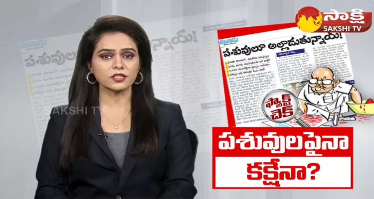 Eenadu Ramoji Rao Conspiracy On Cattle Treatment 