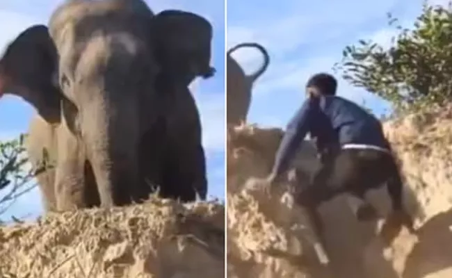 Men Try To Scare Elephant With Slippers Viral Video Sparks Anger - Sakshi