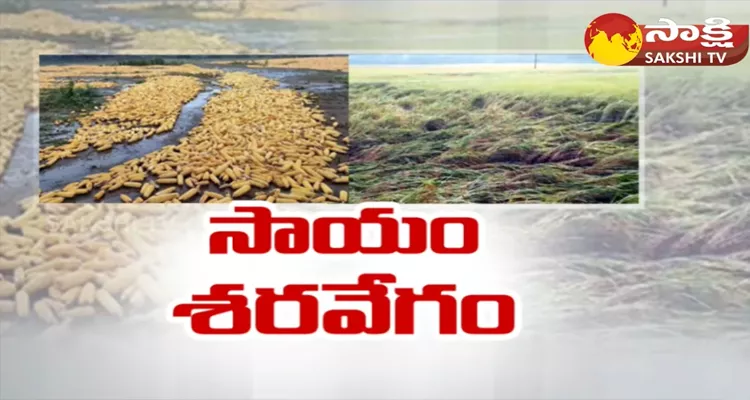 AP Govt Fast Reaction On Crop Damage 