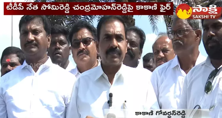  Minister Kakani Govardhan Reddy Fires On TDP Somireddy Chandramohan Reddy 