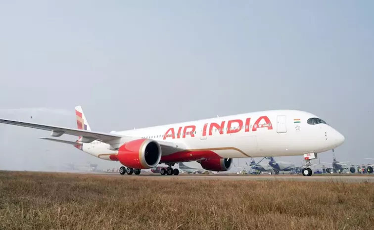 Air India Passenger Flying From New York To Delhi Shared A Viral Video On Instagram