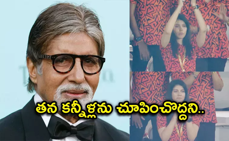 Amitabh Bachchan consoles Sunrisers Hyderabad co owner Kavya Maran after SRH  Loss in IPL 2024