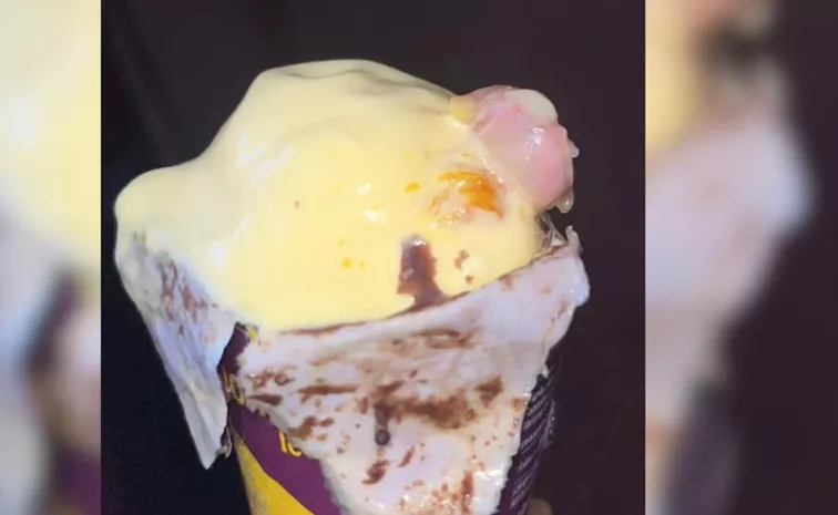 Mumbai Doctor Finds Human Finger Inside Cone Ice Cream In Mumbai