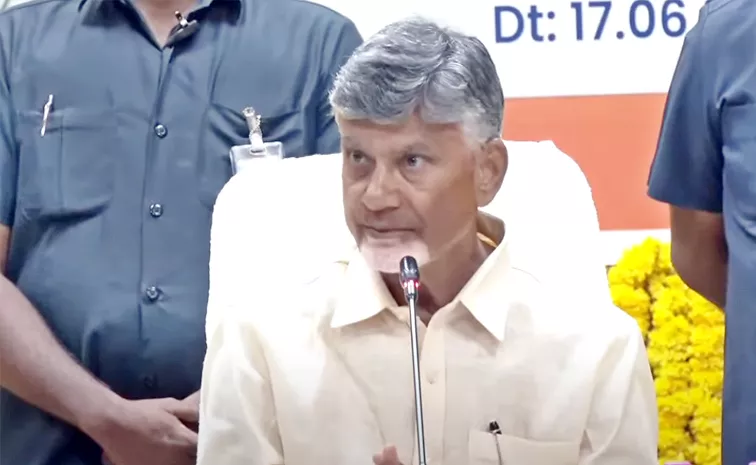 Chandrababu Comments On Polavaram Project