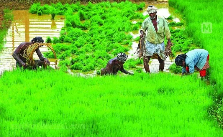 Did You Know About Kshema Sukruthi Crop Insurance Policy
