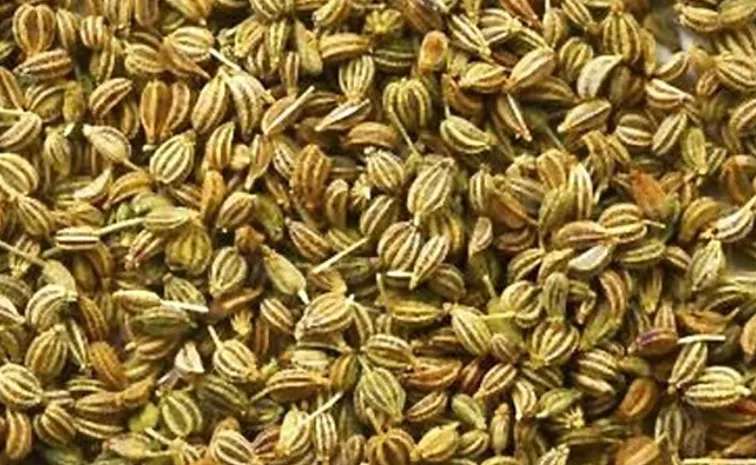health benefits of ajwain best for Weight Loss 